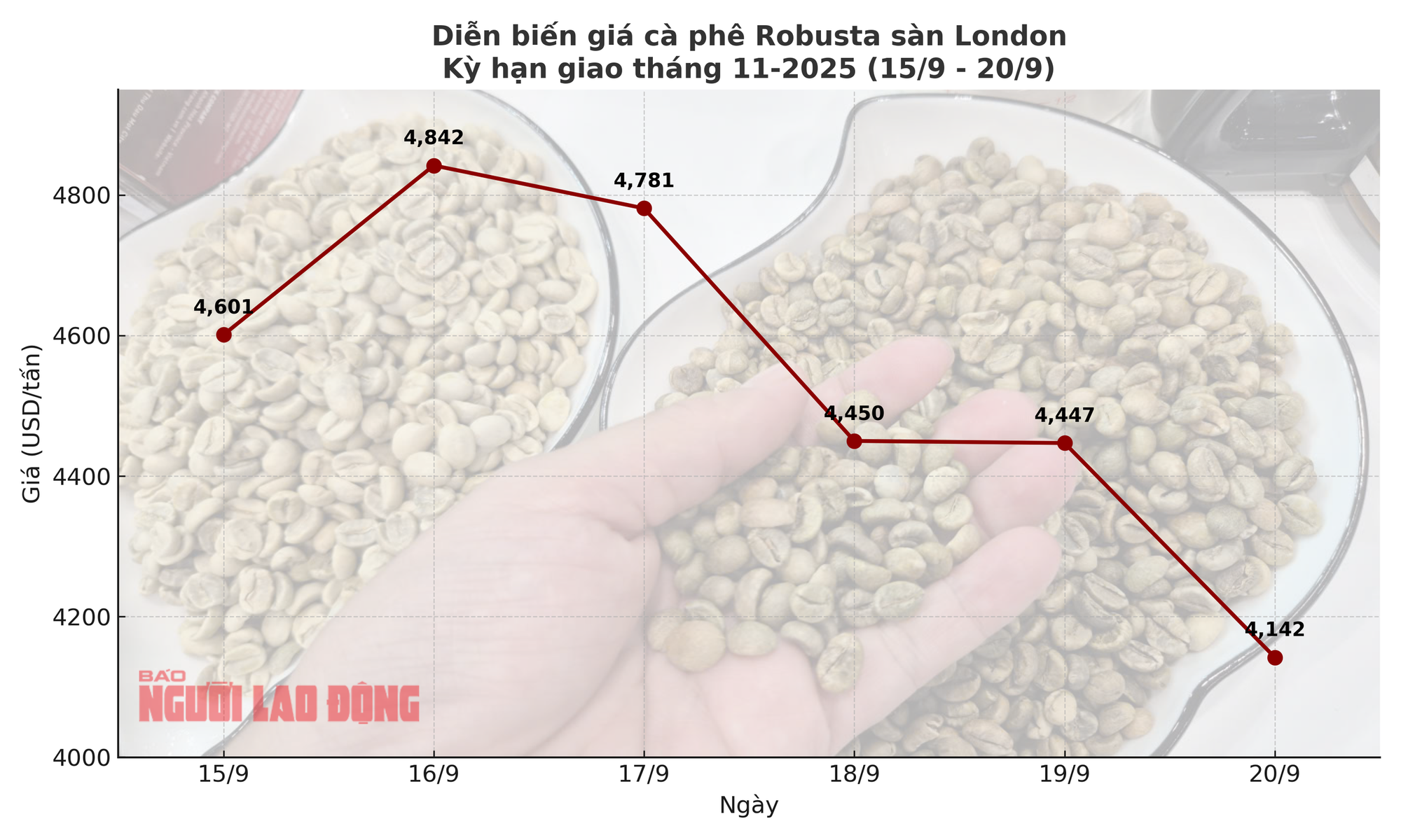 Giá cà phê hôm nay 20-9: Chốt tuần sụp mạnh - Ảnh 1