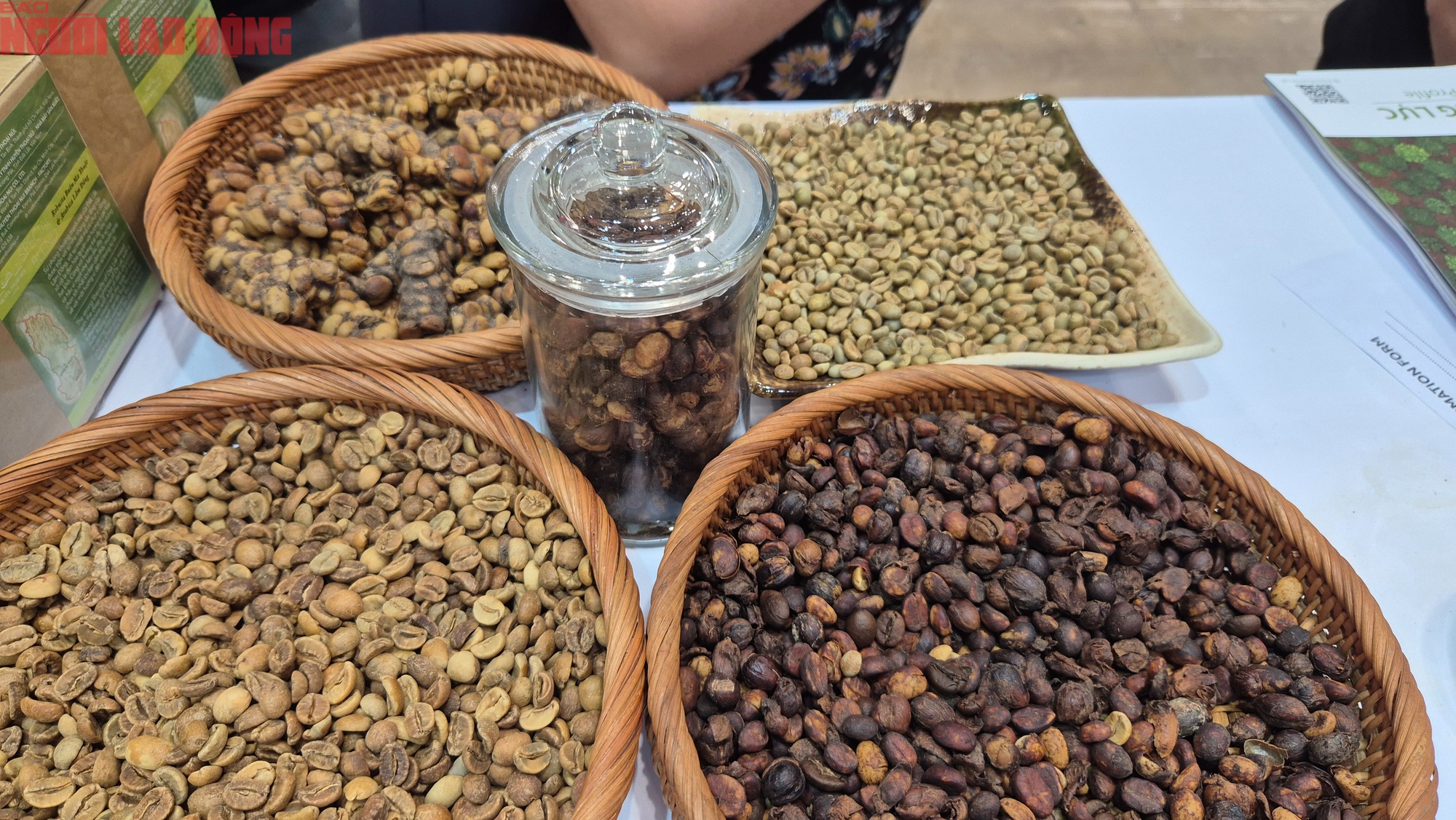 Giá cà phê hôm nay 21-9: Chạm đáy tuần, xuất khẩu cà phê sang Mỹ tăng đột biến - Ảnh 2