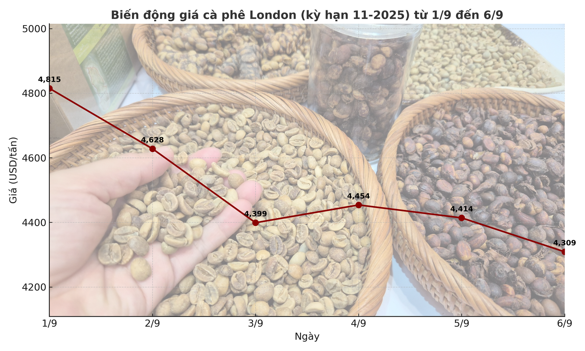 Giá cà phê hôm nay 7-9: Tuần buồn của người giữ cà phê - Ảnh 2