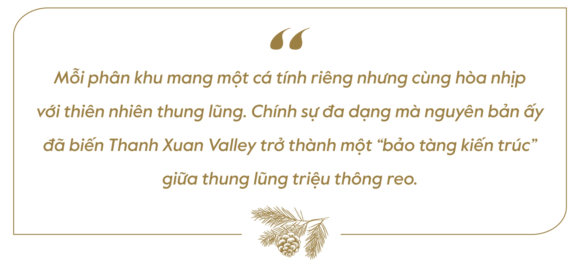 Thanh Xuan Valley: Nghệ thuật “may đo” không gian sống giữa thung lũng triệu thông reo - Ảnh 5