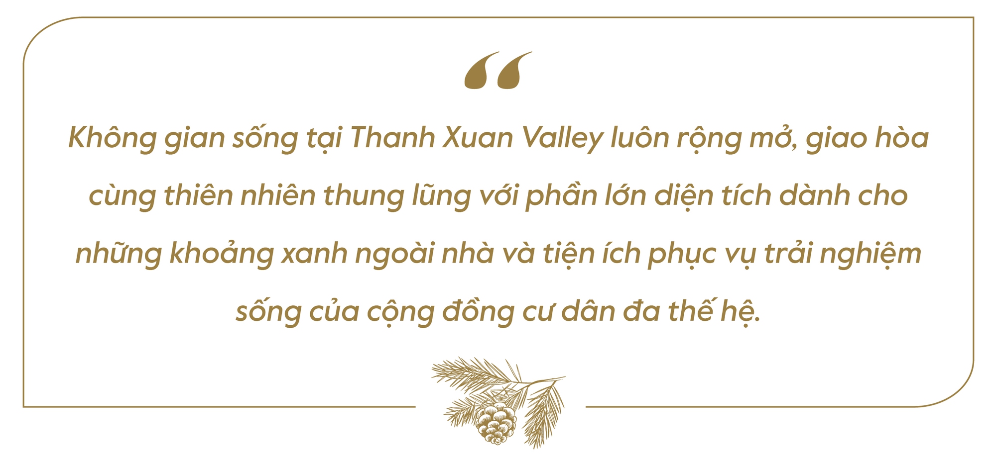 Thanh Xuan Valley: Nghệ thuật “may đo” không gian sống giữa thung lũng triệu thông reo - Ảnh 20