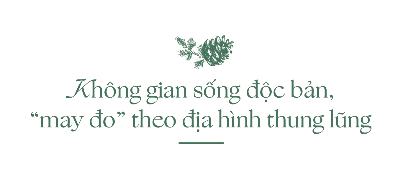Thanh Xuan Valley: Nghệ thuật “may đo” không gian sống giữa thung lũng triệu thông reo - Ảnh 2