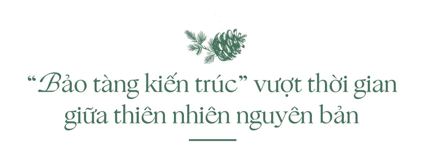 Thanh Xuan Valley: Nghệ thuật “may đo” không gian sống giữa thung lũng triệu thông reo - Ảnh 4