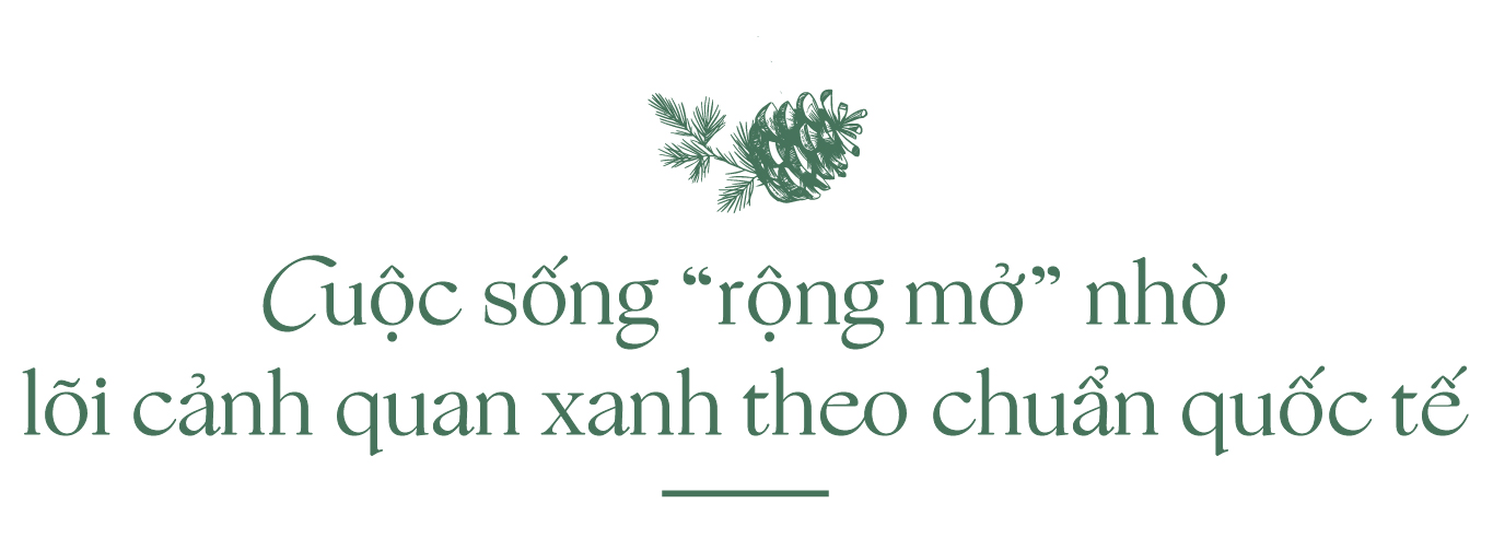 Thanh Xuan Valley: Nghệ thuật “may đo” không gian sống giữa thung lũng triệu thông reo - Ảnh 17