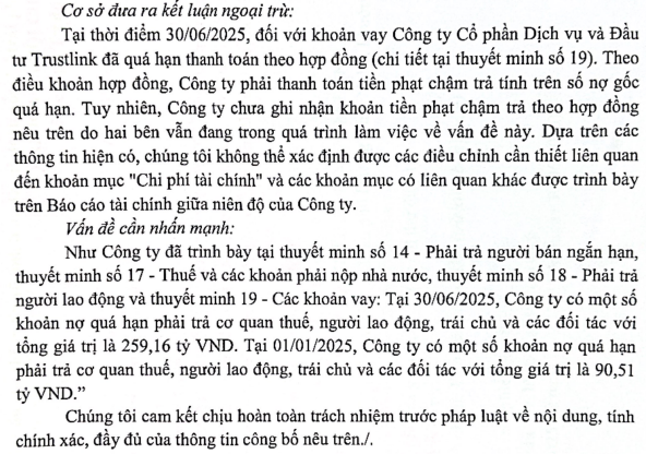 Chậm thanh toán trái phiếu, BKAV Pro bị kiểm toán nhấn mạnh khoản nợ quá hạn 260 tỷ đồng - Ảnh 1