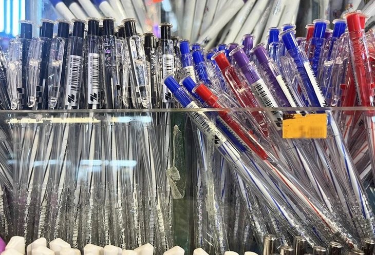 Bán sản phẩm chỉ bằng cốc trà đá khiến 74 quốc gia đặt mua, DN Việt lại “chơi lớn” ở “xứ sở nghìn đảo” - Ảnh 2