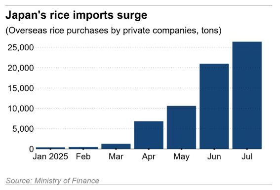 Buồn của nền kinh tế lớn thứ 4 thế giới: Nhập khẩu gạo tăng gấp 200 lần vẫn không thể giảm giá, người dân chỉ ưa chuộng gạo nội địa - Ảnh 2