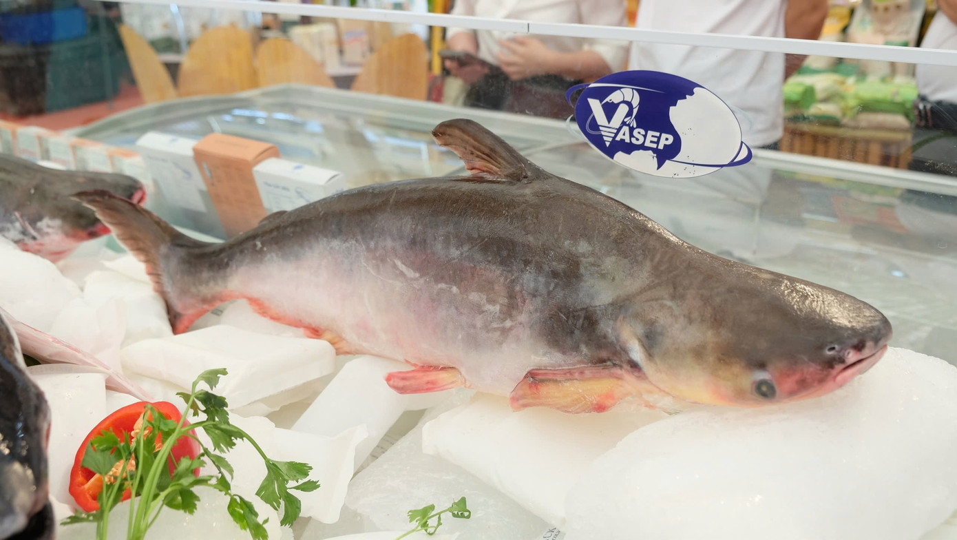 Mải mê xuất khẩu loài cá tỷ USD mà 'quên' thị trường nội địa? - Ảnh 1