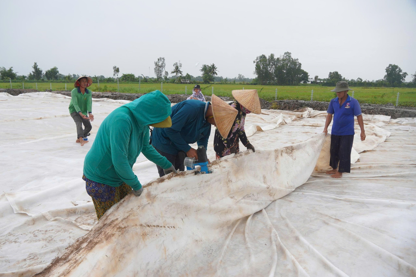 Gấp rút thi công 2 dự án cao tốc trục dọc, trục ngang ở miền Tây - Ảnh 7