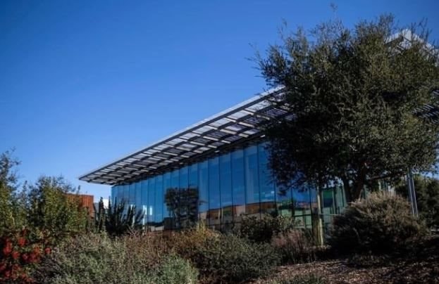 Sự cực đoan tại Thung lũng Silicon: Coder hy sinh tình yêu, giấc ngủ vì giấc mơ tỷ USD, có founder làm 92 giờ/tuần - Ảnh 1