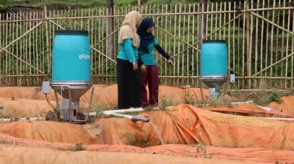 Thêm 1 bê bối rúng động giới khởi nghiệp ĐNÁ: Loạt CEO, nhân viên startup bị bắt vì cáo buộc tham nhũng, rửa tiền, mùa đông công nghệ sắp tới gần - Ảnh 1