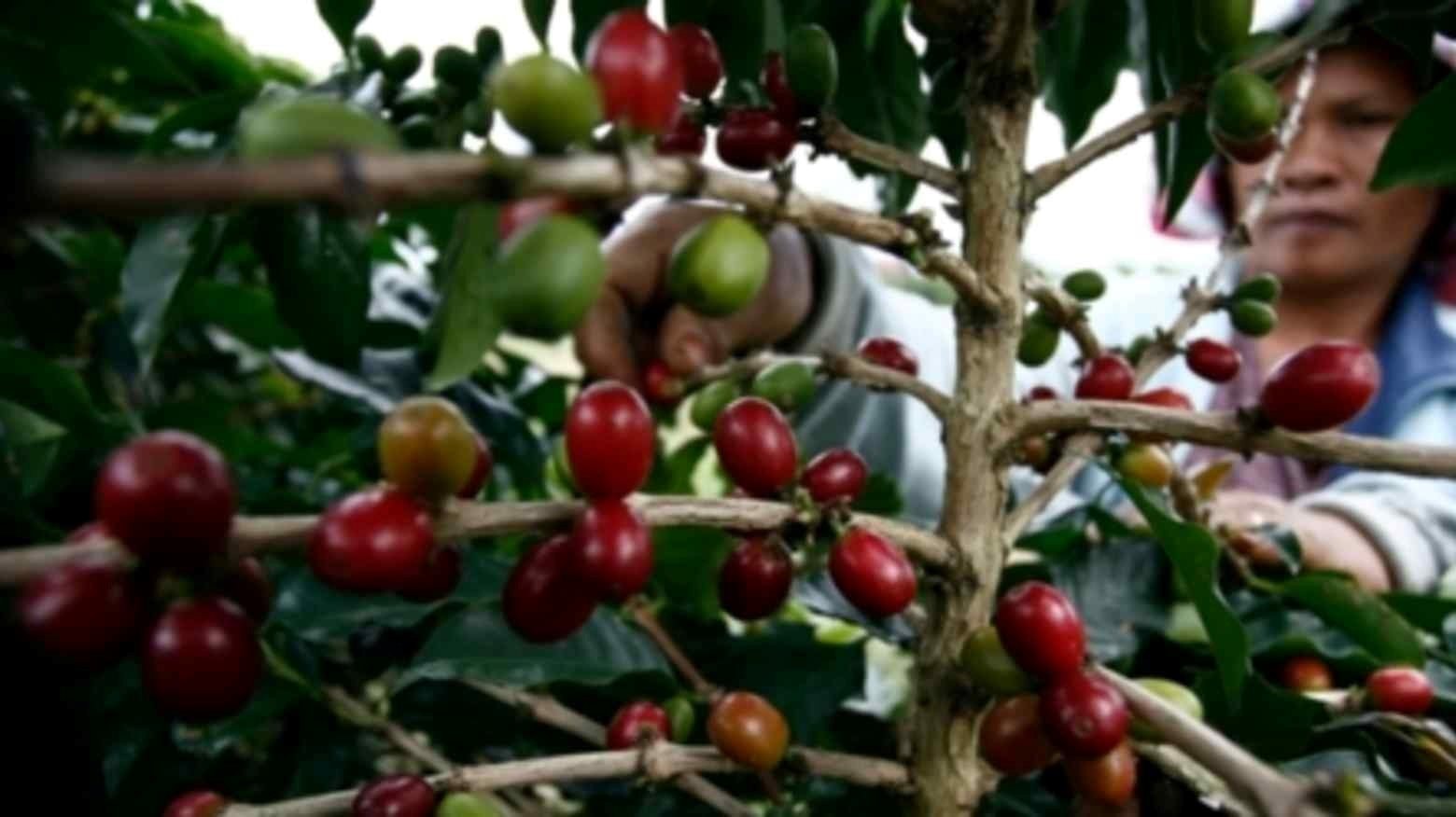 Chịu mức thuế 40% của Mỹ, nước láng giềng Việt Nam tính chuyển hướng xuất khẩu mặt hàng ‘hái ra tiền’ sang Nga - Ảnh 1