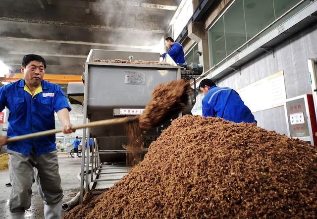 Giữa căng thẳng thương mại với Washington, Trung Quốc bắt tay với nước đối tác BRICS, ‘giáng đòn’ vào thị trường tỷ USD của Mỹ - Ảnh 1