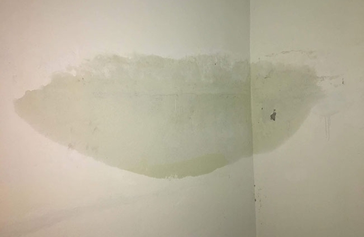 Giải pháp chống thấm nhà ở hiệu quả trong mùa mưa - Ảnh 1