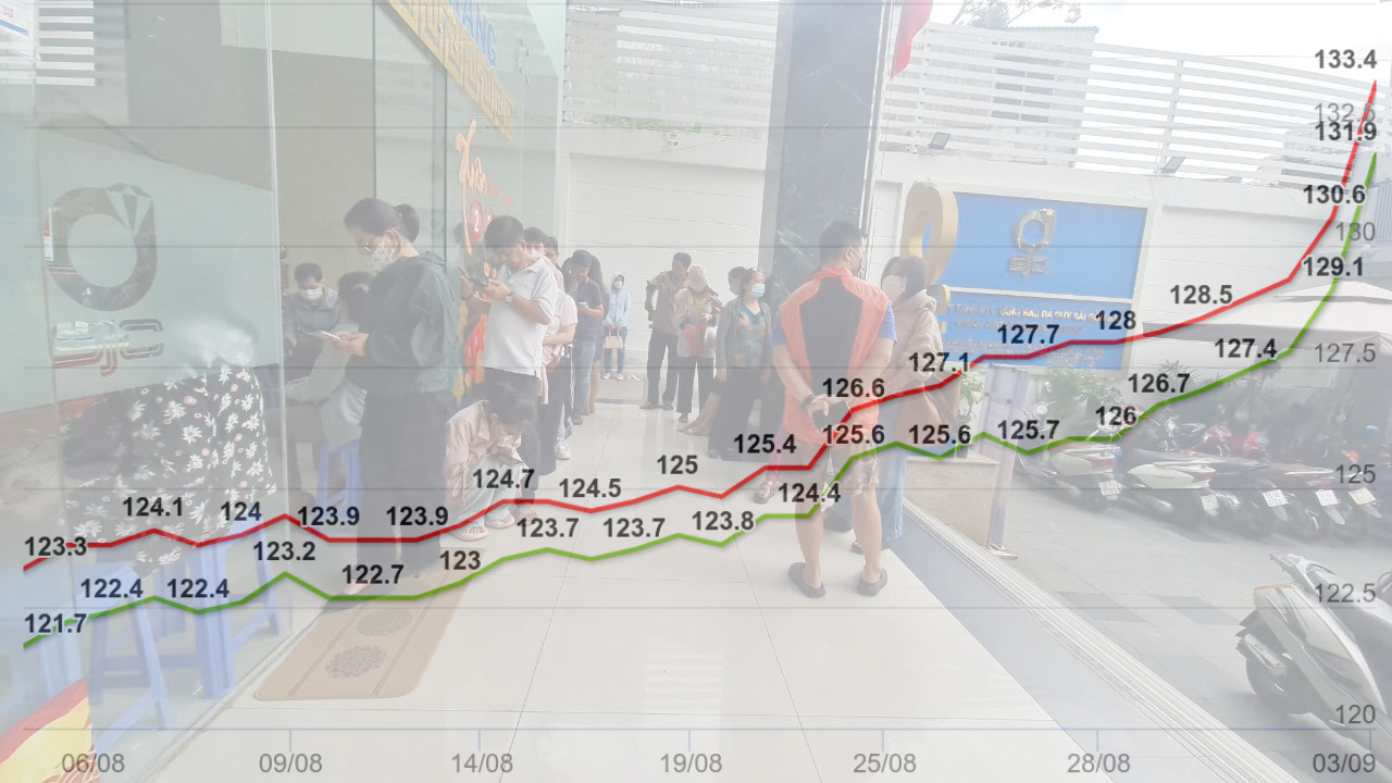 Vì sao giá vàng chưa giảm? - Ảnh 1