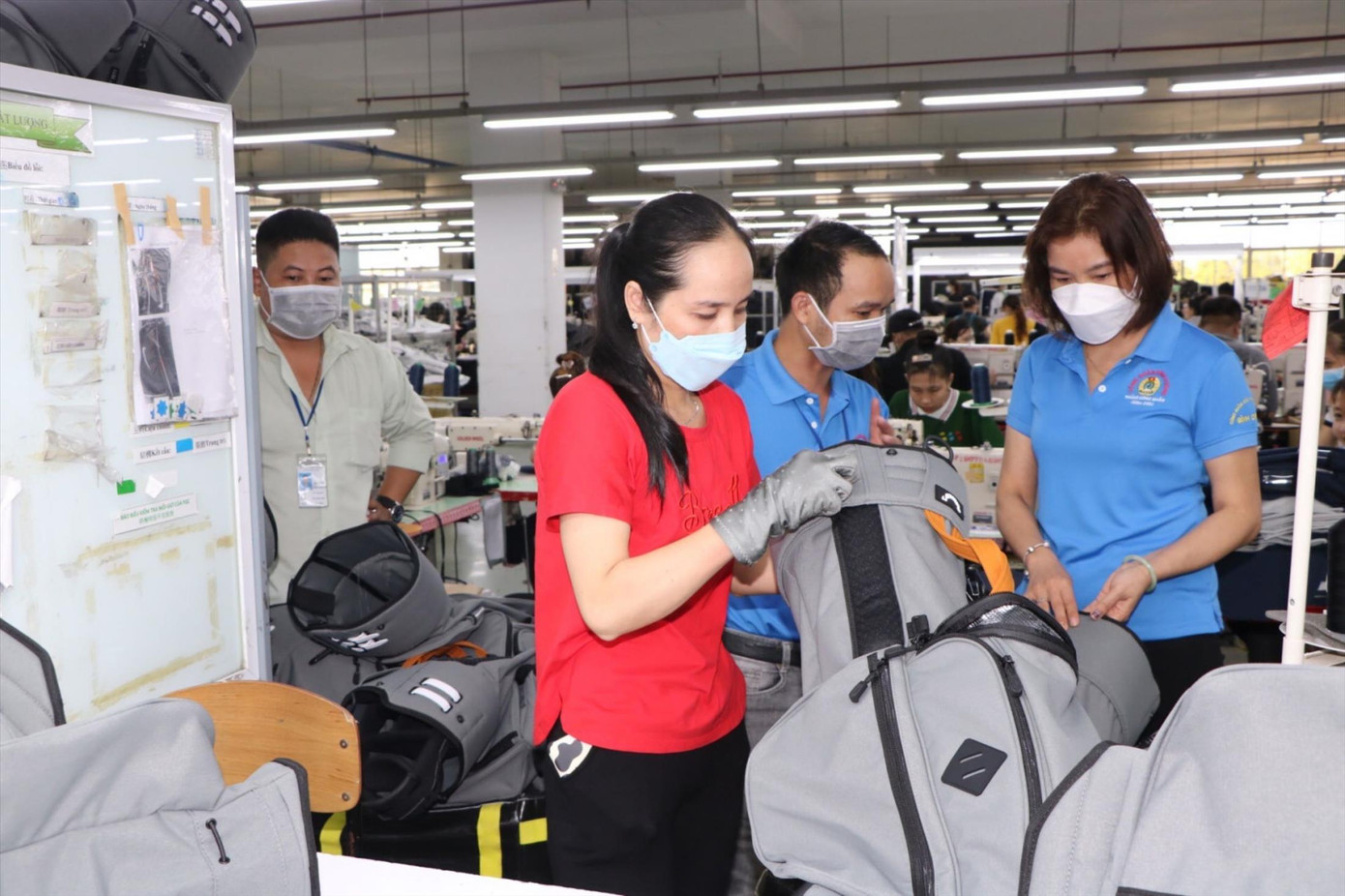 Sắp tổng điều tra kinh tế toàn quốc - Ảnh 1