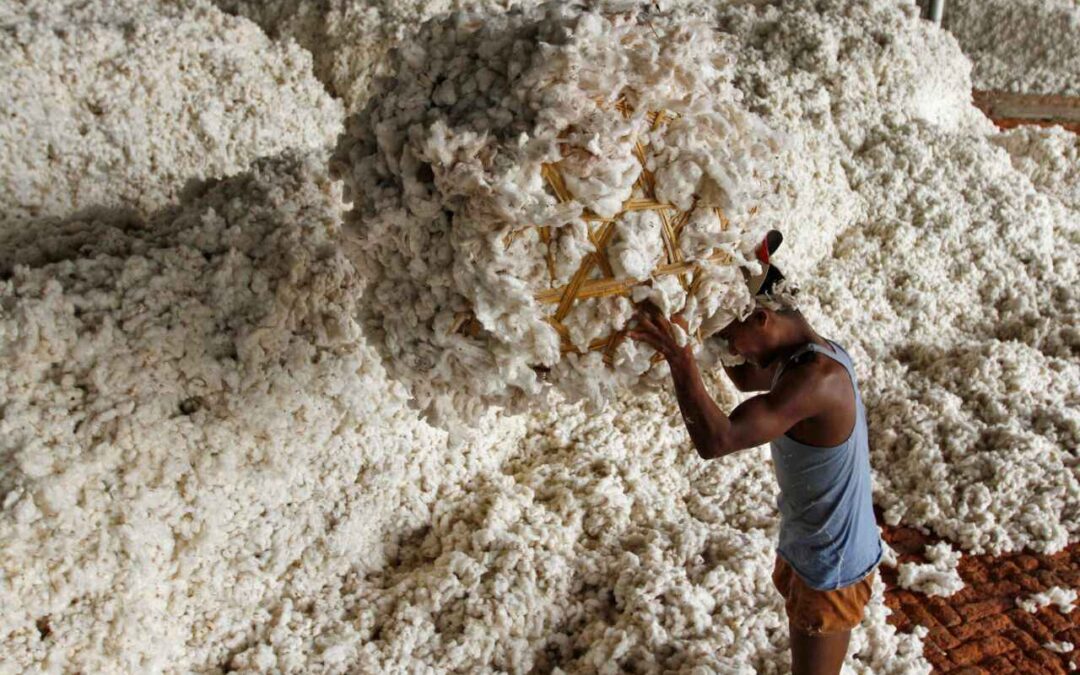 Xuất khẩu sang Trung Quốc trượt dốc 90%, Mỹ ồ ạt đưa một mặt hàng vào Việt Nam với giá siêu rẻ, nước ta tiêu thụ 1,5 triệu tấn/năm - Ảnh 1