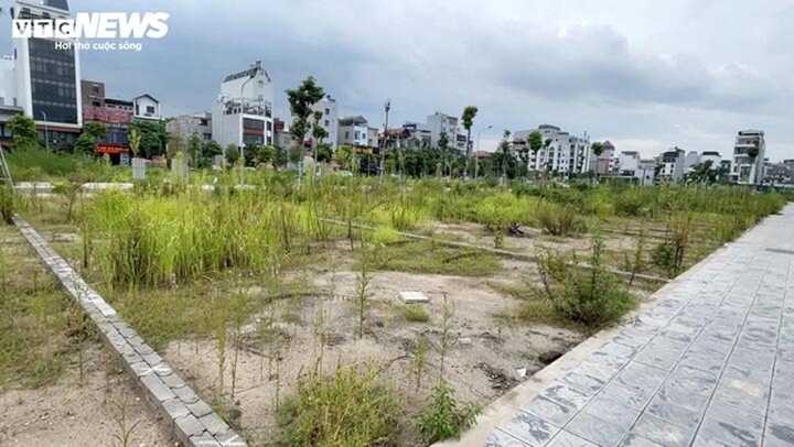 5 loại đất nền cần tránh khi đầu tư - Ảnh 1