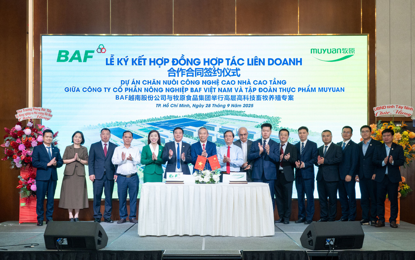 BAF bắt tay Muyuan trong dự án nuôi heo nhà cao tầng 12.000 tỷ đồng - Ảnh 2