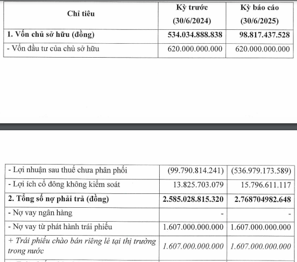 Vừa báo lỗ bán niên, doanh nghiệp liên quan đến ông Đặng Thành Tâm lùi ngày thanh toán lãi trái phiếu - Ảnh 1