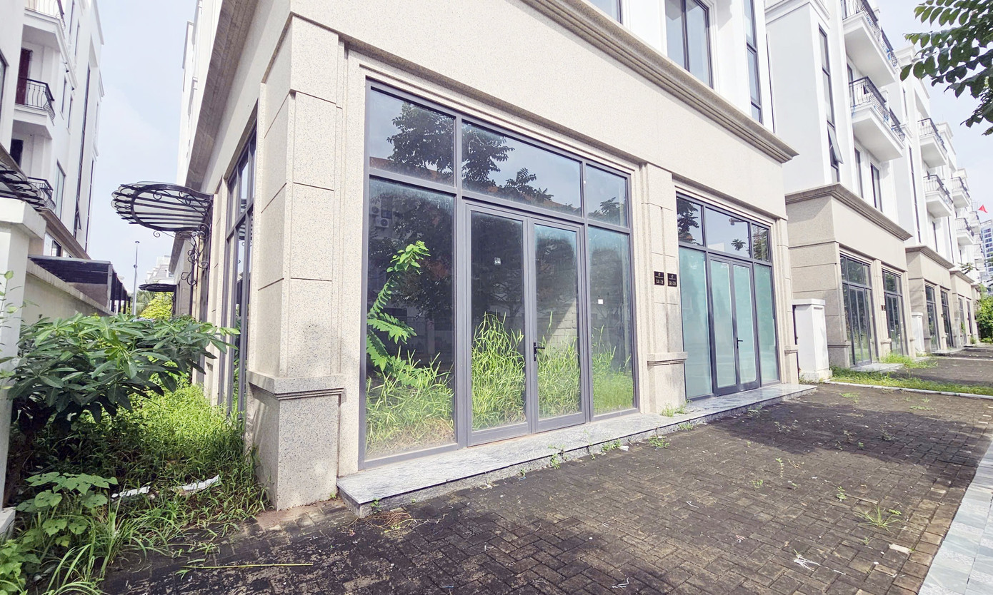 Chủ đầu tư 'đau đầu' với khu biệt thự, liền kề triệu đô bỏ hoang, cỏ dại mọc um tùm giữa Thủ đô - Ảnh 3