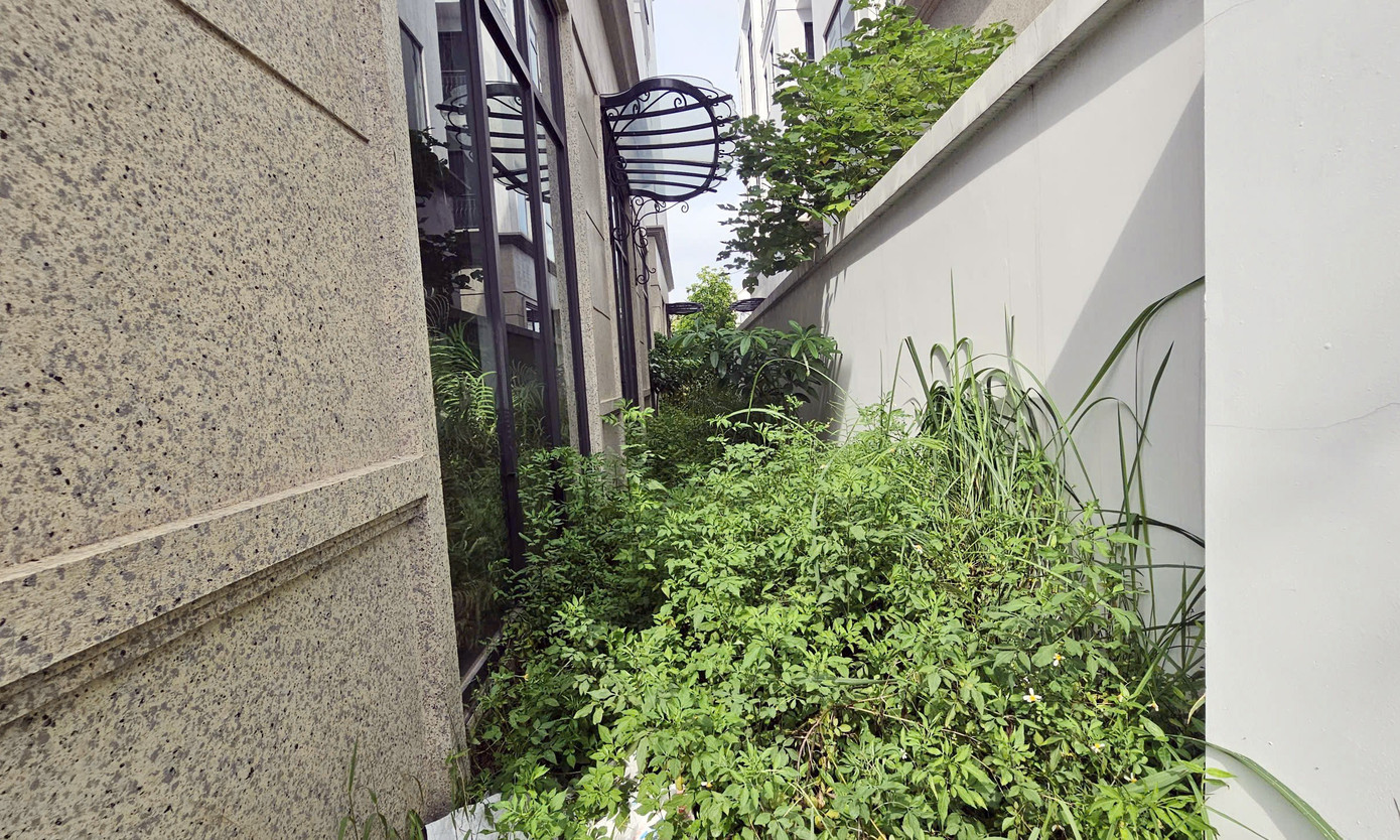 Chủ đầu tư 'đau đầu' với khu biệt thự, liền kề triệu đô bỏ hoang, cỏ dại mọc um tùm giữa Thủ đô - Ảnh 13