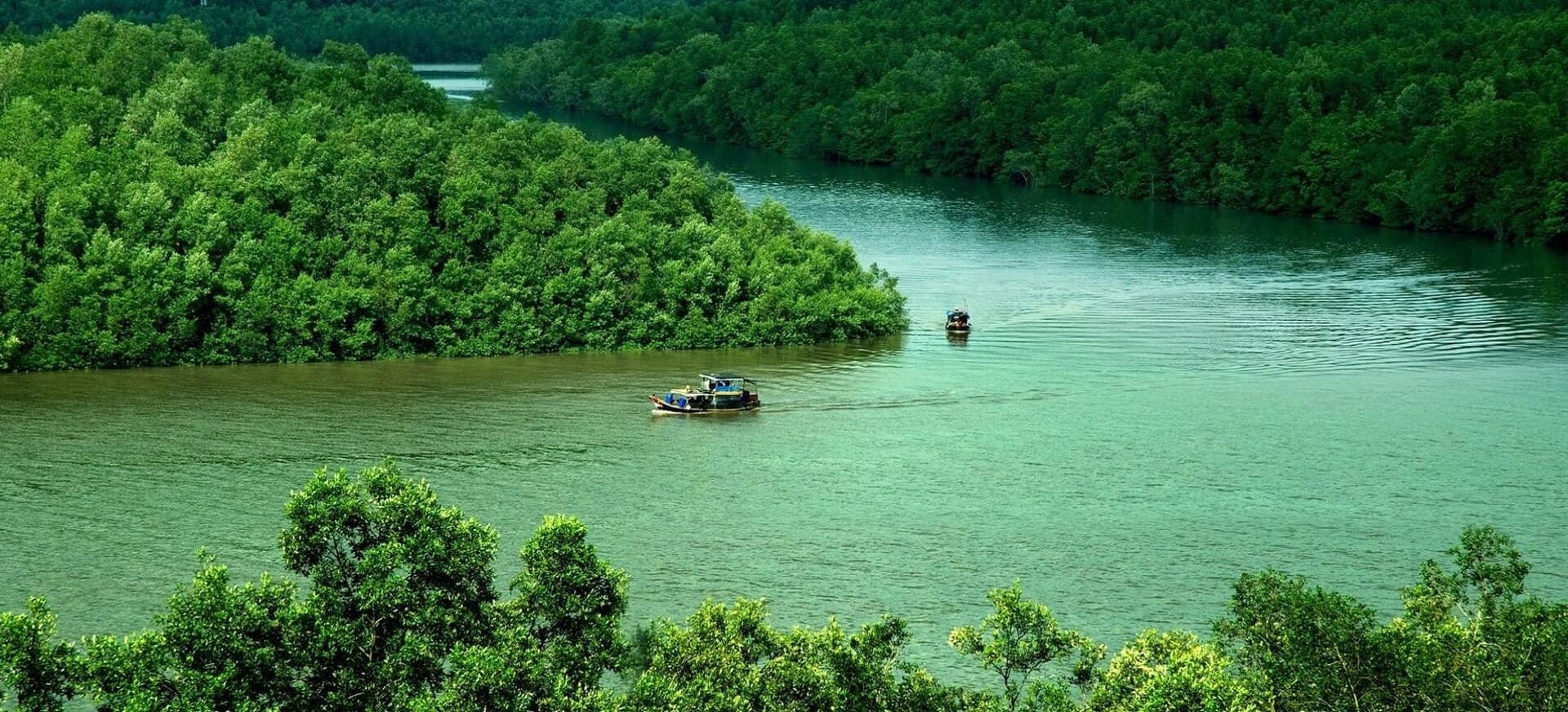 3 năm nữa từ TP.HCM đi Cần Giờ chỉ mất 15 phút, nhanh hơn ra sân bay, không bao giờ lo tắc đường - Ảnh 1