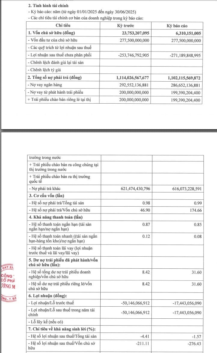 Tiếp mạch lỗ, Đường Man của đại gia Đường “bia” bị kiểm toán có ý kiến ngoại trừ trên BCTC - Ảnh 2