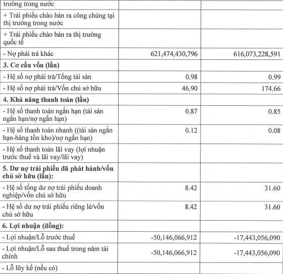 Đường Man của đại gia Đường ‘bia’ báo nợ phải trả gấp 174 lần vốn chủ sở hữu - Ảnh 2