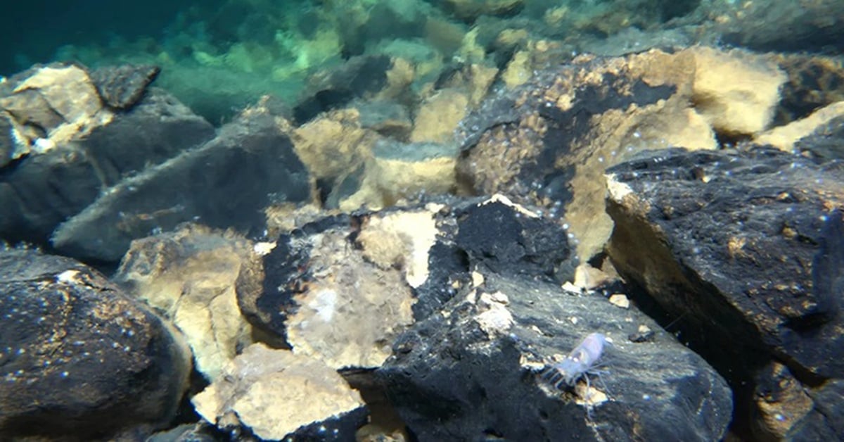 Tàu ngầm Trung Quốc tìm ra nơi chứa bí mật về sự sống - Ảnh 1