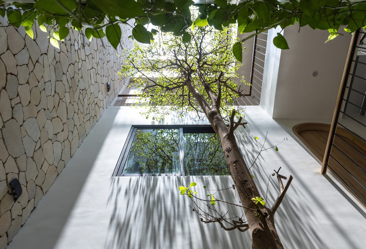 Tối ưu thông gió, ánh sáng, kết nối thiên nhiên cho nhà phố 3 tầng - Ảnh 3