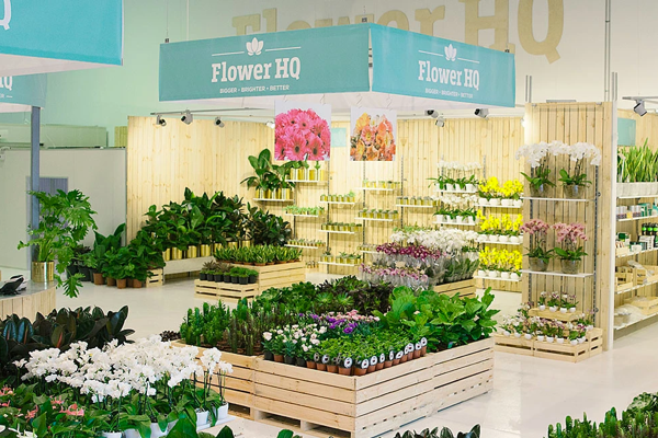 Công ty Đà Lạt chi 4.600 tỷ đồng 'nuốt chửng' tập đoàn hoa tươi 100 năm tuổi của Úc: Di sản của người đàn ông Hà Lan biến 700.000 USD thành DN 500 triệu USD - Ảnh 6