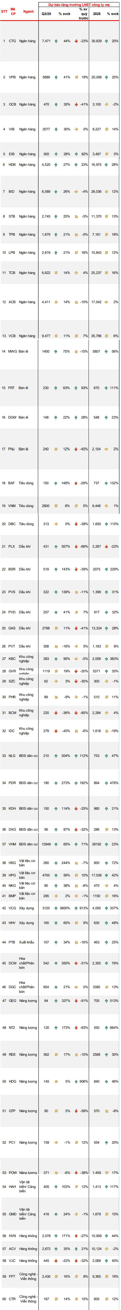 CTCK ước tính lợi nhuận quý 3/2025 của 60 doanh nghiệp "hot": Một "đại gia" xây dựng dự báo tăng 3.800%, loạt DN quen mặt bứt phá bằng lần - Ảnh 2