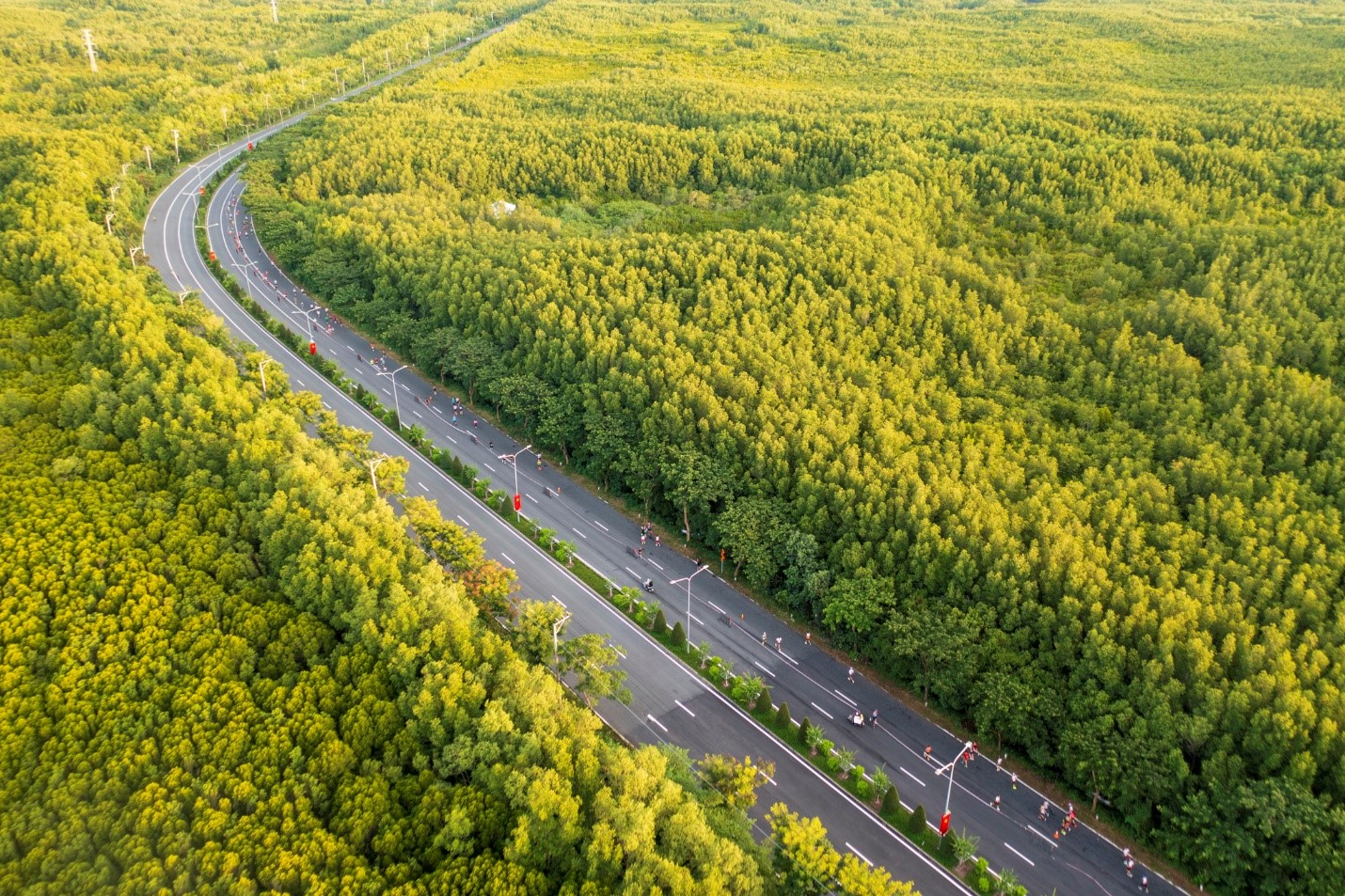 HDBank Green Marathon 2025 - Điểm hẹn của những bước chân xanh và nhịp sống số - Ảnh 2