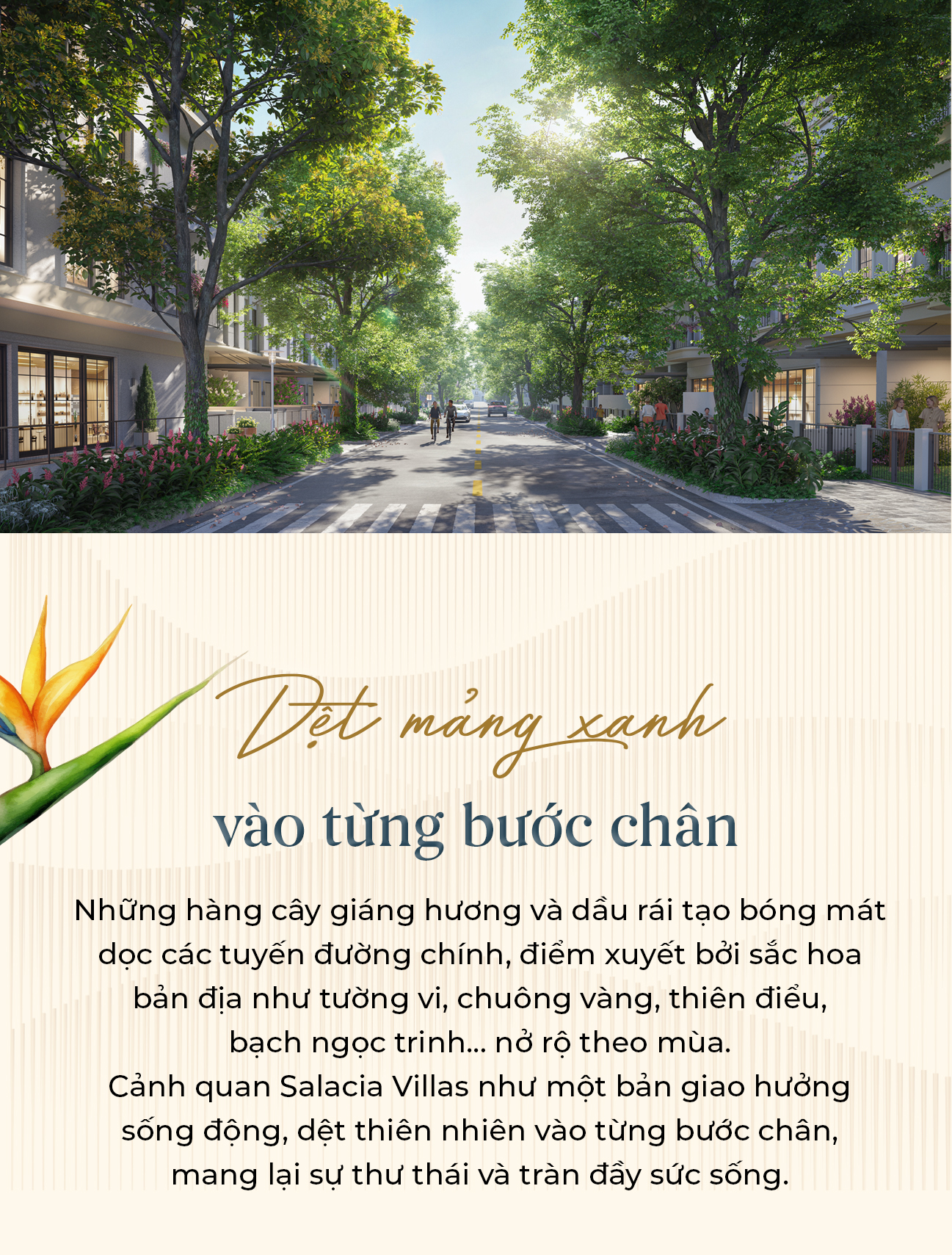 Salacia Villas - "nghỉ dưỡng nhiệt đới" giữa thương cảng quốc tế - Ảnh 4