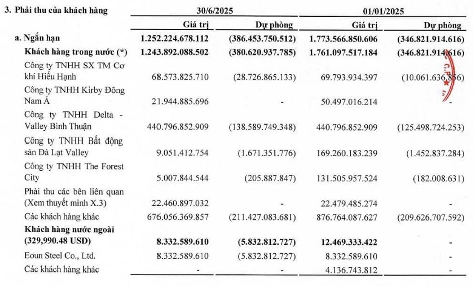 Cổ phiếu một doanh nghiệp thép tăng 140% sau 5 tháng sau khi thu hồi nợ từ Novaland - Ảnh 1