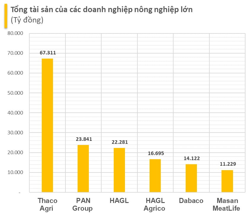 Thaco Agri của tỷ phú Trần Bá Dương có tổng tài sản tăng vọt lên hơn 67.000 tỷ đồng, vượt Becamex, gấp 3 lần HAGL - Ảnh 3