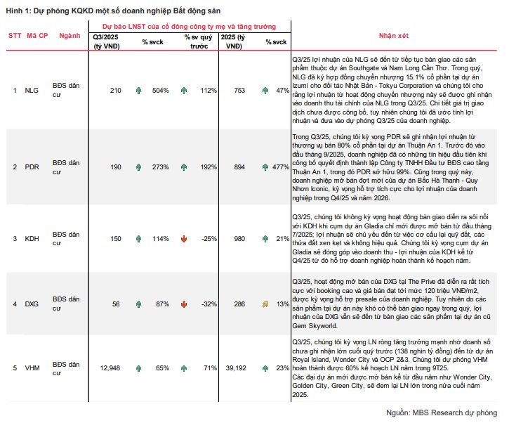 MBS Research dự báo lợi nhuận các doanh nghiệp BĐS: Vinhomes lãi gần 13.000 tỷ, lợi nhuận Nam Long tăng hơn 500% - Ảnh 2