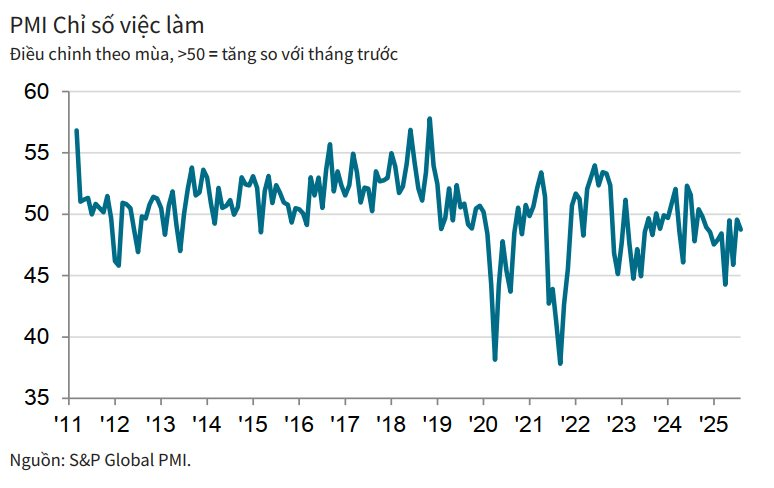 Dù PMI tháng 8 giảm nhẹ do đơn hàng sụt giảm vì thuế đối ứng, chuyên gia quốc tế chỉ ra điểm sáng trong bức tranh ngành sản xuất Việt Nam - Ảnh 2