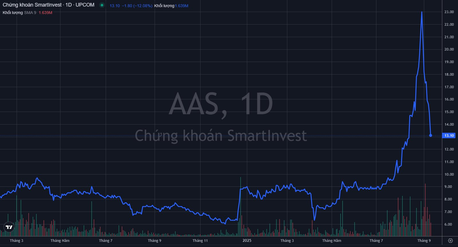 Chuyện gì đây: Một mã chứng khoán “dựng cây thông”, thị giá bay hơn 40% chỉ sau 2 tuần - Ảnh 1