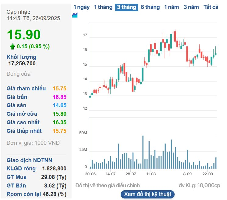 Nước cờ tái cấu trúc của Bầu Đức: HAGL phát hành 210 triệu cổ phiếu để xử lý khoản nợ nghìn tỷ - Ảnh 1