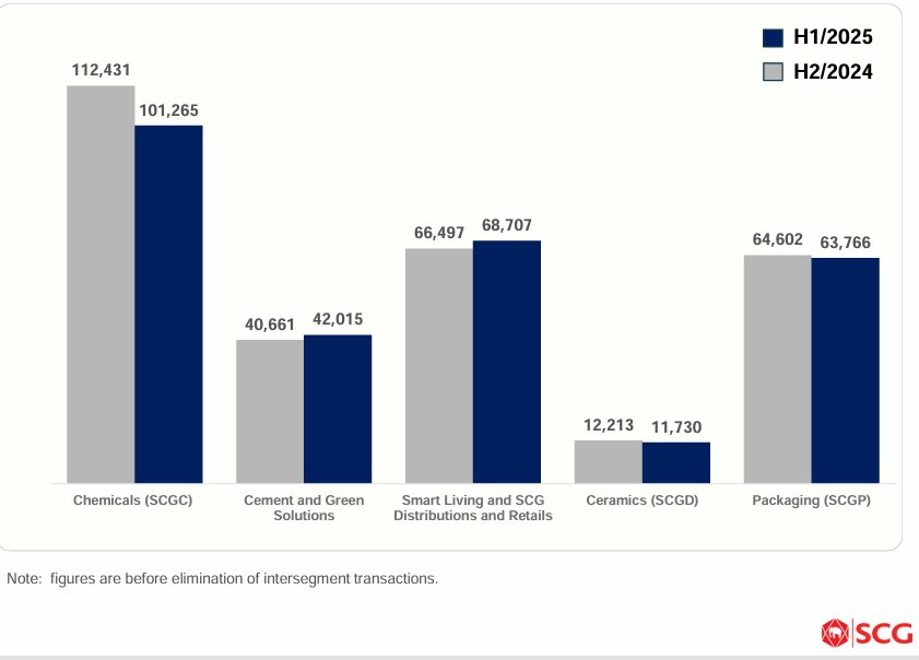 "Đại gia" Thái giữ 6,53 tỷ USD tài sản tại Việt Nam, chỉ ra một ngành triển vọng "tăng trưởng rất cao" - Ảnh 3