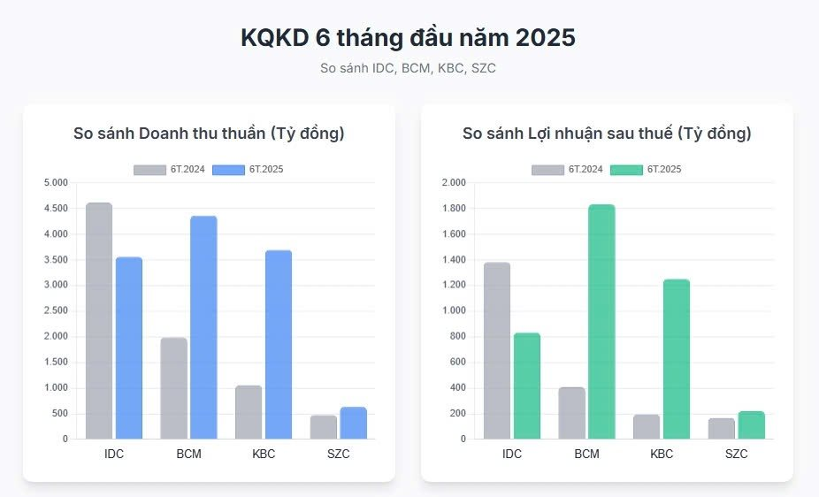 Lợi nhuận ngành bất động sản khu công nghiệp trái chiều: KBC, BCM báo lãi 'khủng' , vì sao IDICO (IDC) lại sụt giảm 43%? - Ảnh 1