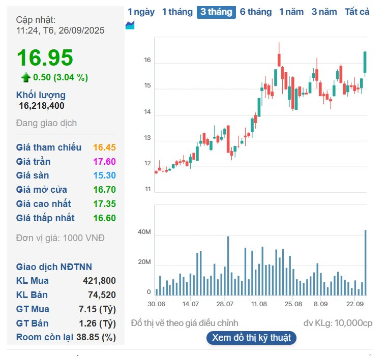 "Sóng" đầu tư công cuối năm: Đâu là triển vọng thực sự của Hạ tầng Đèo Cả (HHV)? - Ảnh 4