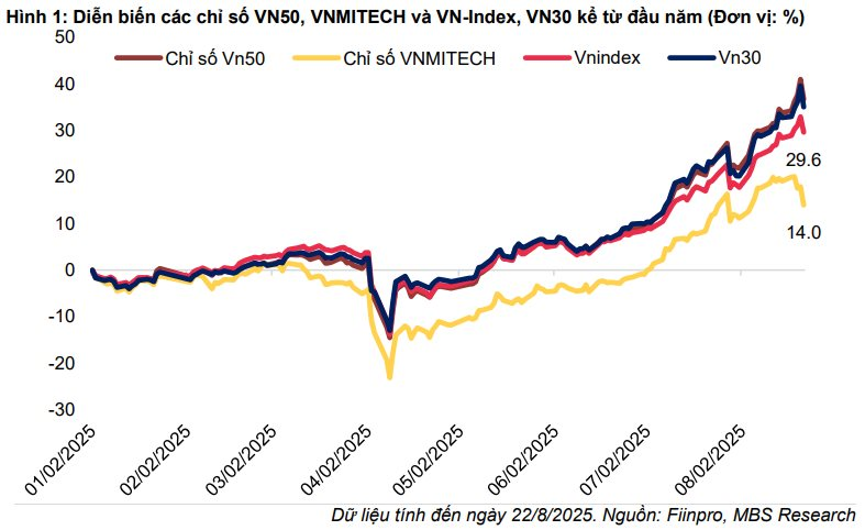 Mã chứng khoán nào sẽ "sáng cửa" lọt hai rổ chỉ số mới VN50 Growth và VNMITECH? - Ảnh 1