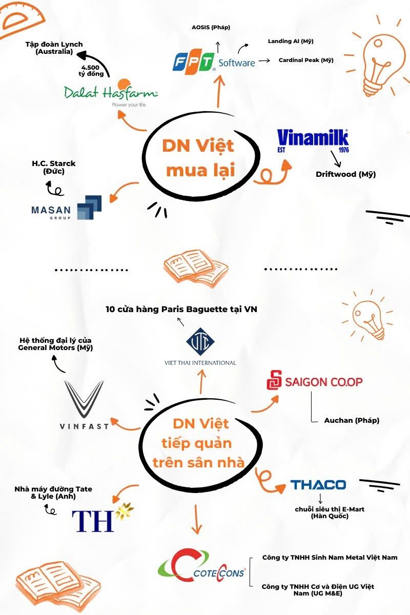 Từ "con mồi" bị thâu tóm đến làn sóng doanh nghiệp Việt đi săn các công ty ngoại: FPT, Vinamilk, Masan, VinFast và những thương vụ triệu đô - Ảnh 2