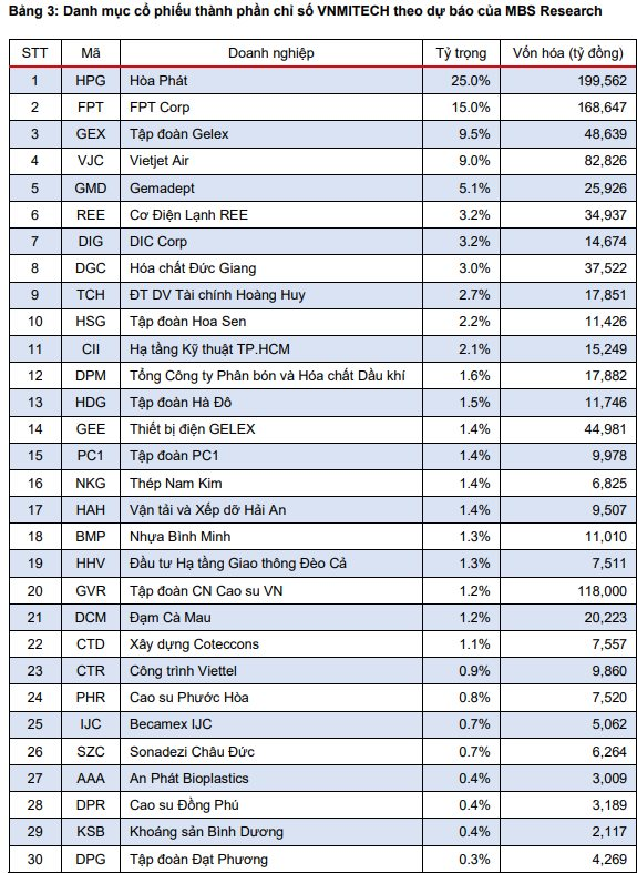 Mã chứng khoán nào sẽ "sáng cửa" lọt hai rổ chỉ số mới VN50 Growth và VNMITECH? - Ảnh 3