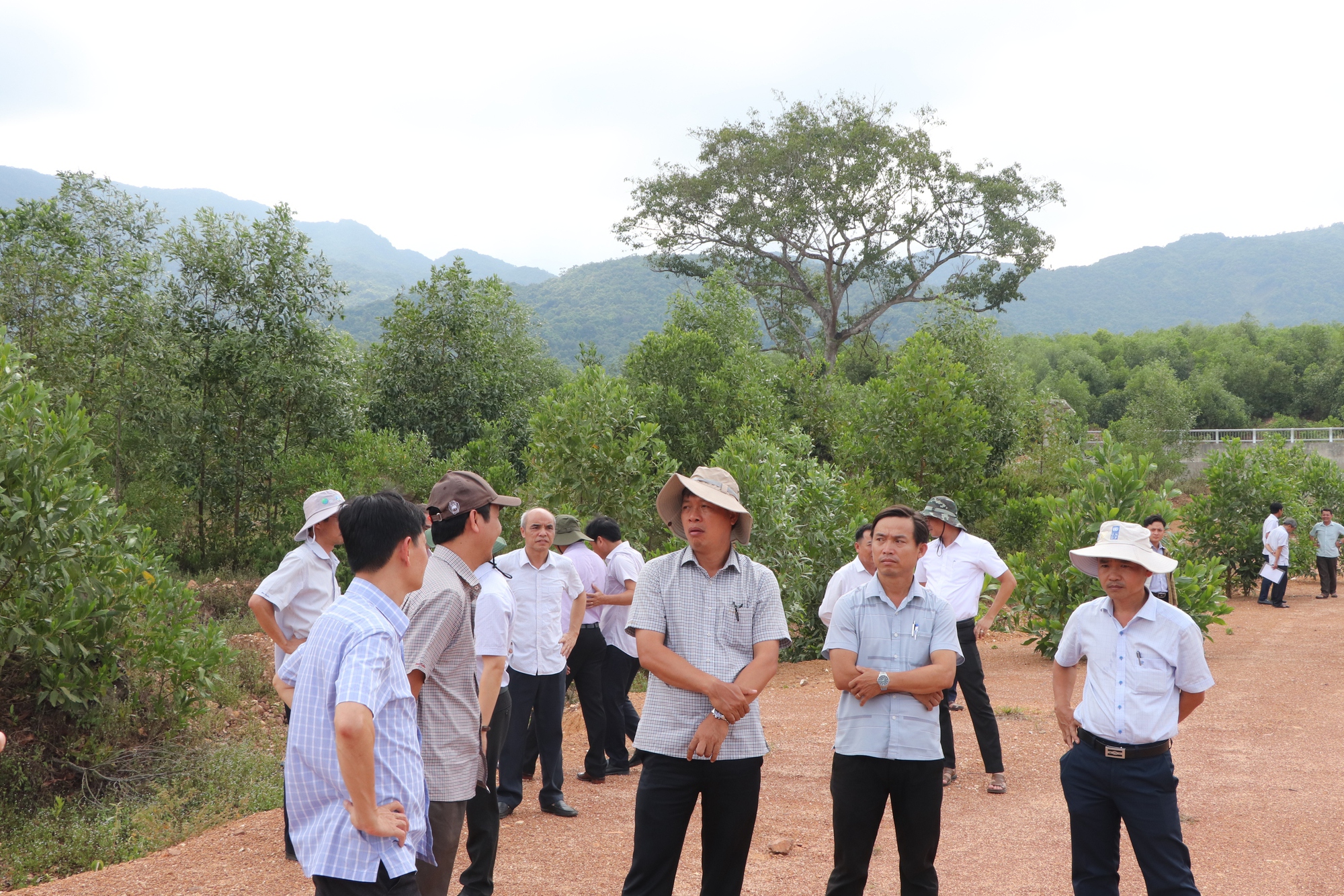 Dự án hồ chứa nước 291 tỉ ở Đà Nẵng: Quản lý yếu kém, gây lãng phí - Ảnh 2