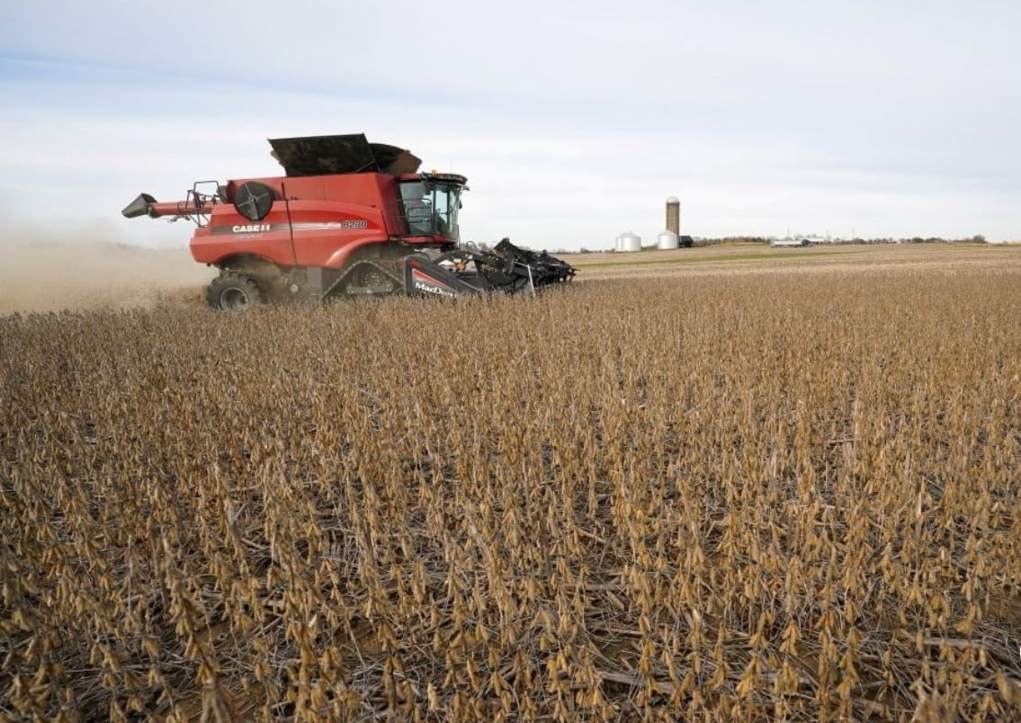 Trung Quốc quay lưng với loại 'hạt vàng', nông dân Mỹ điêu đứng vì đơn hàng đóng băng, chạy đua với thời gian tìm bạn hàng thay thế, canh cánh như 'đi trên dây' - Ảnh 1