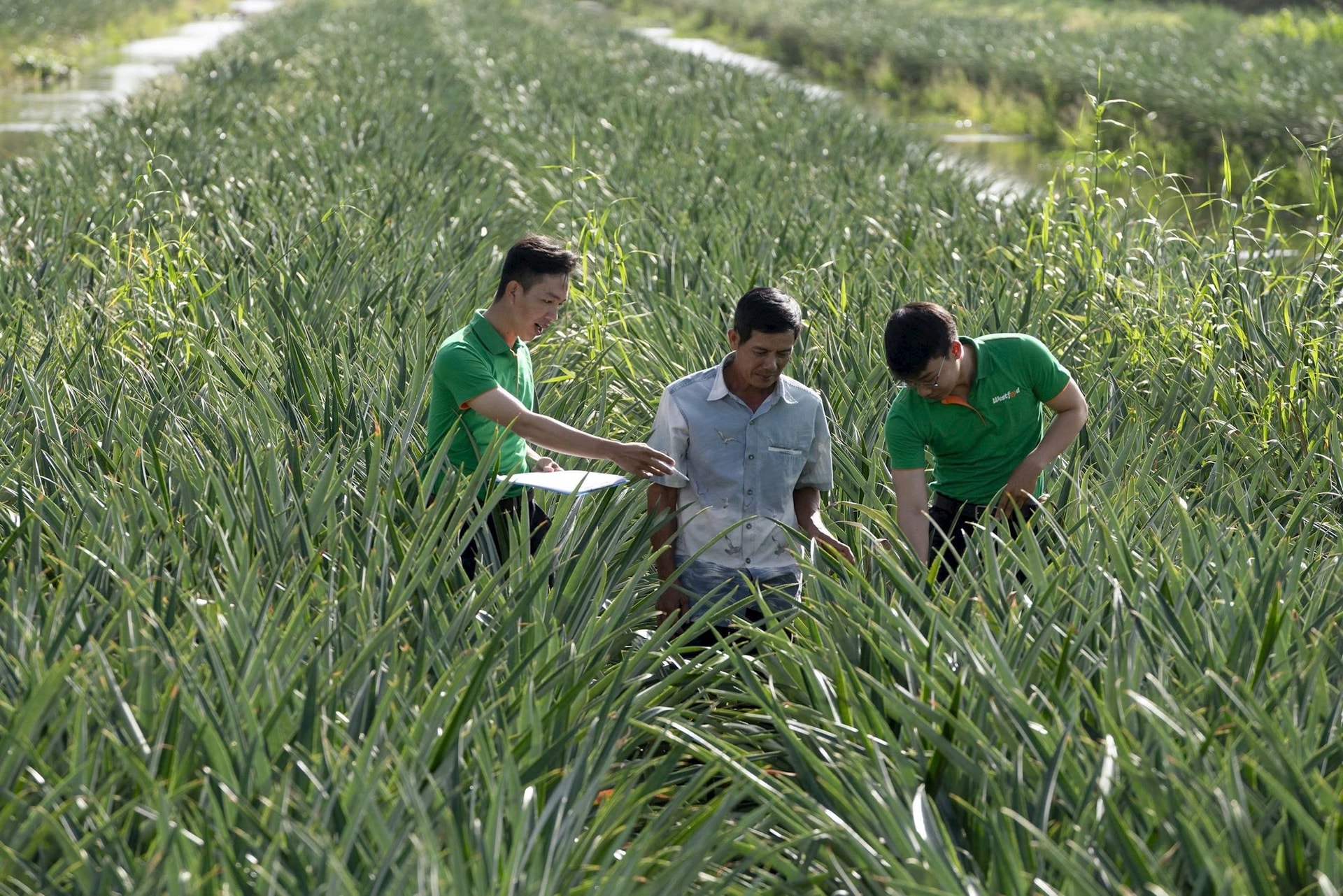 Nhà máy chế biến nông sản hơn 666 tỷ đồng vừa khánh thành tại Cần Thơ: Đưa nông sản Đồng bằng sông Cửu Long vươn ra thế giới - Ảnh 3